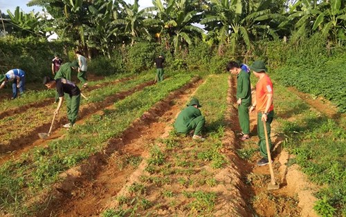Học kỳ Quân sự  của Sinh viên Đại học Đông Á